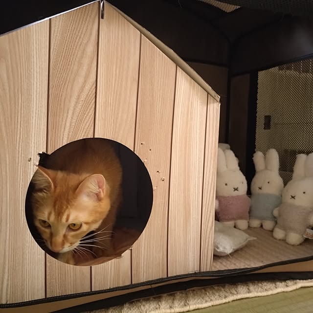 mayutan.さんの部屋