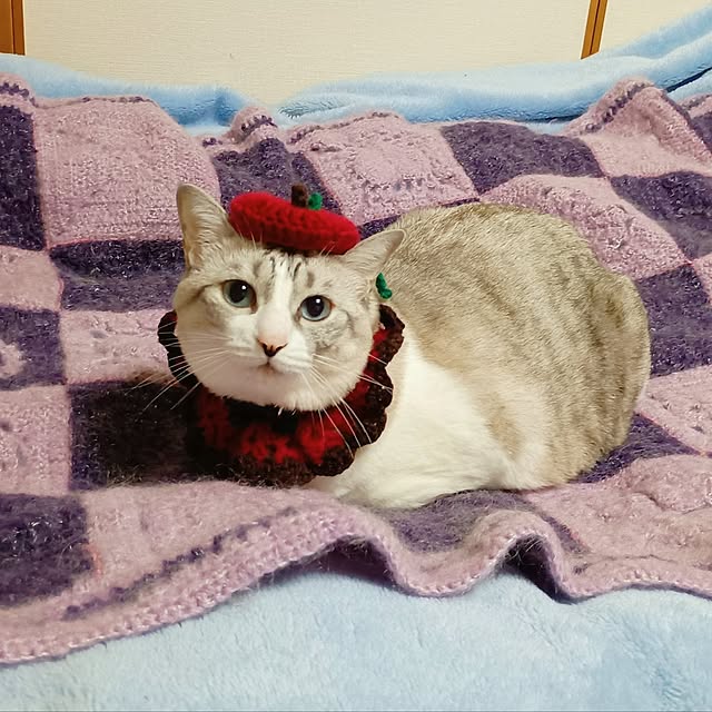 maruwataroさんの部屋