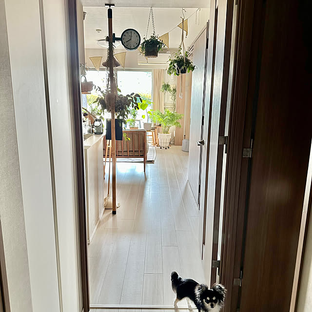 hachiさんの部屋