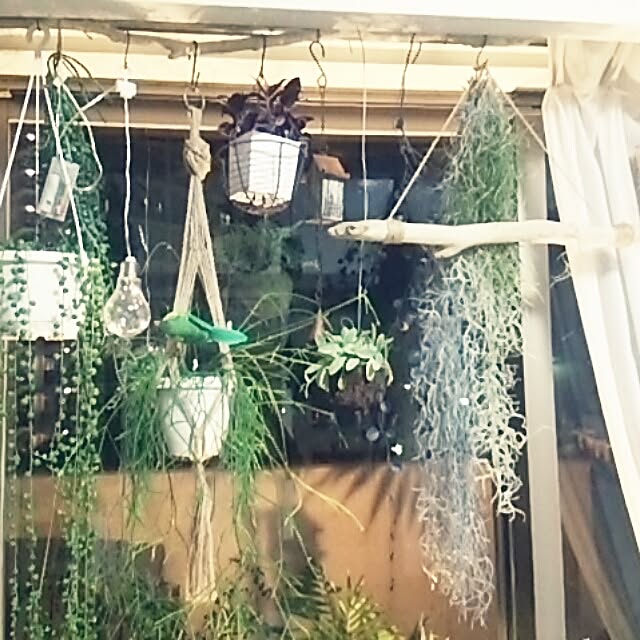 satominさんの実例写真