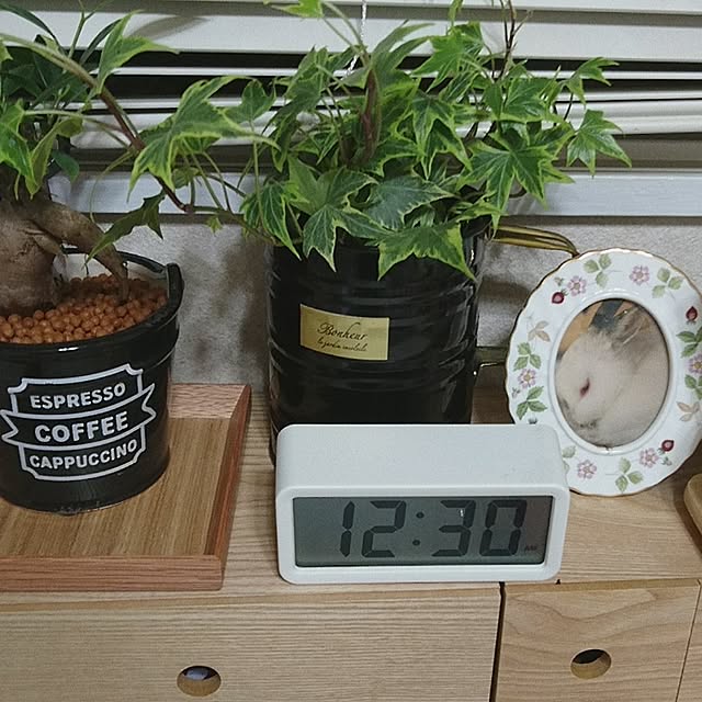 usaさんの実例写真