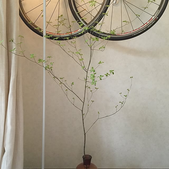ht6030さんの実例写真