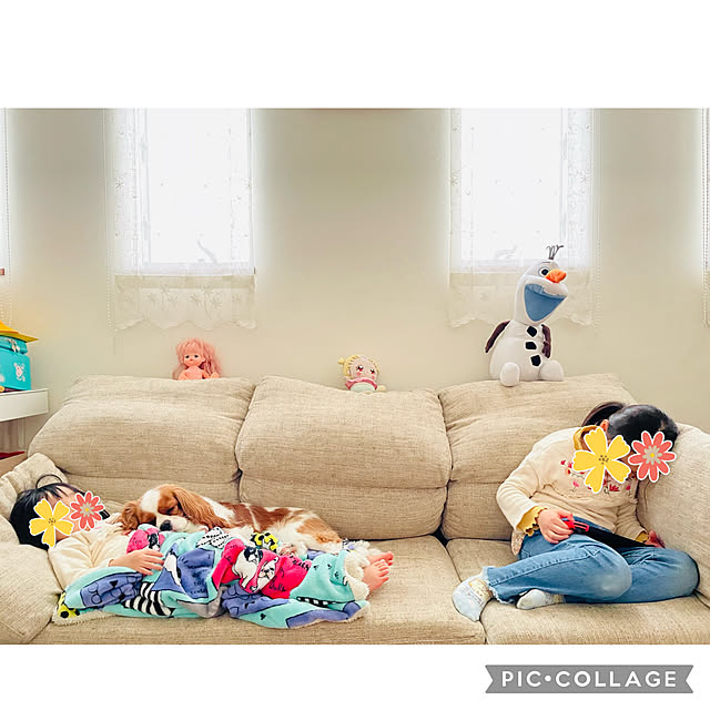 k.k.kinokoさんの実例写真