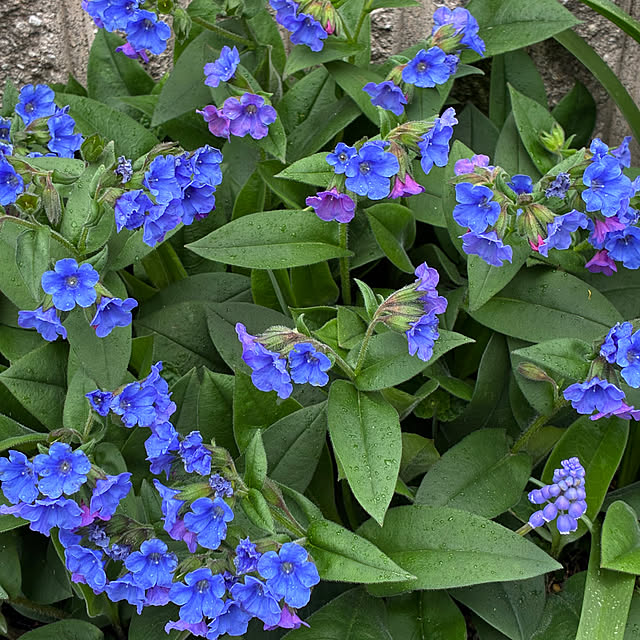 romiromiさんの実例写真