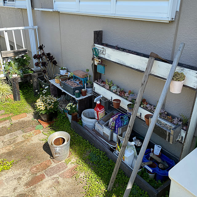 Meguさんの部屋