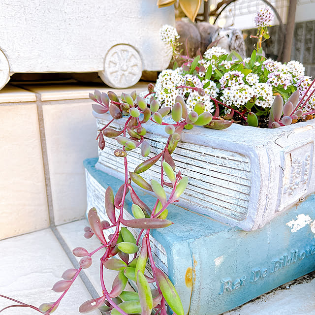 eriharuさんの部屋