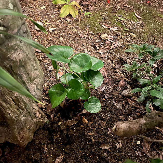 shin0719さんの部屋