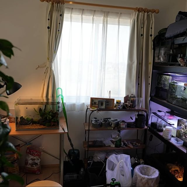 yaikoさんの部屋