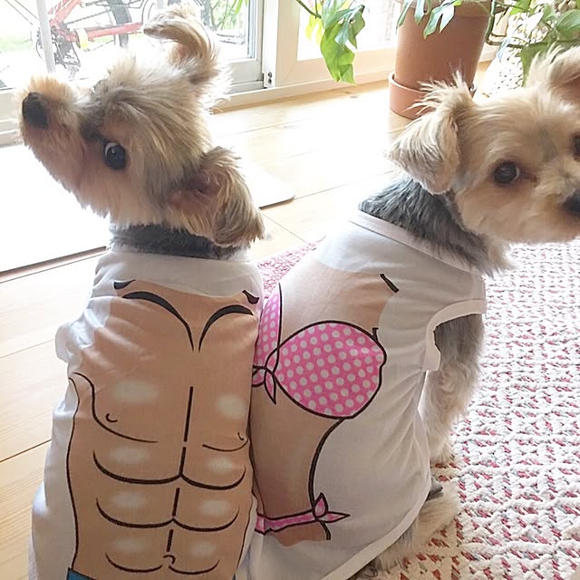 misacoさんの実例写真