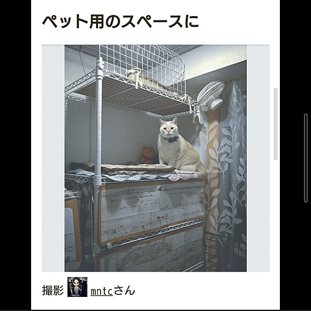 mntcさんの実例写真