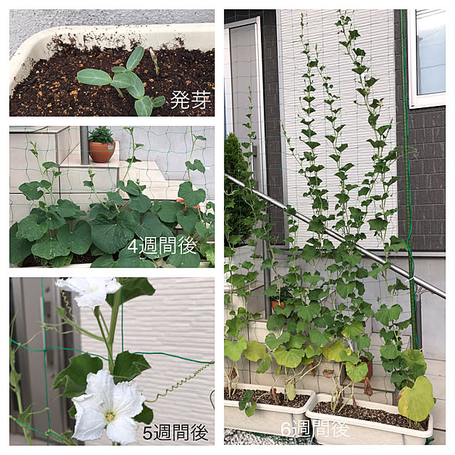 K.Sさんの実例写真