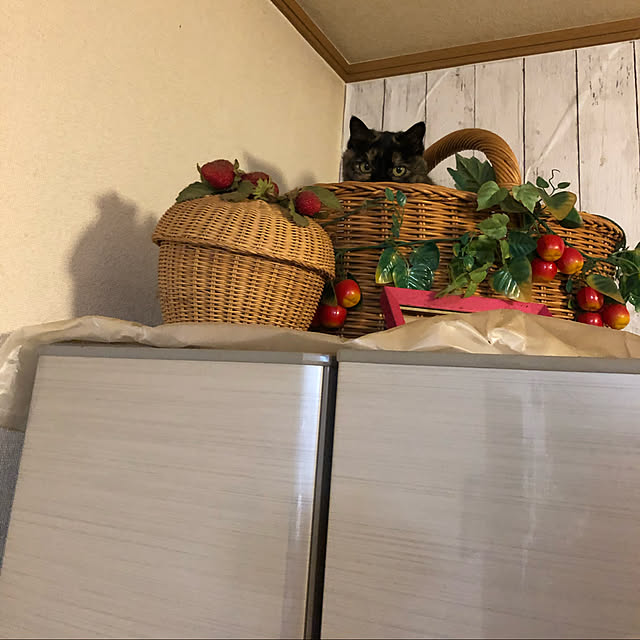 eimyさんの実例写真