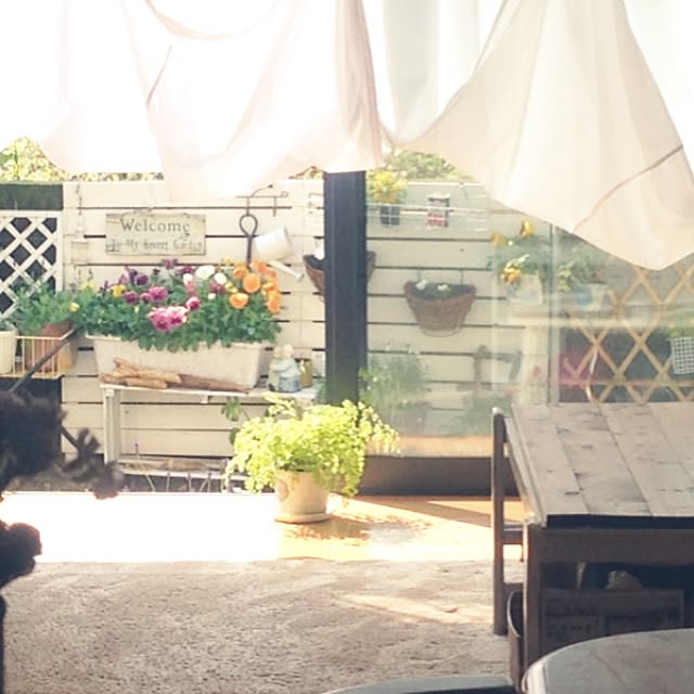 部屋全体/お花たち/リビングからの眺めのインテリア実例 - 2014-04-23 12:37:38