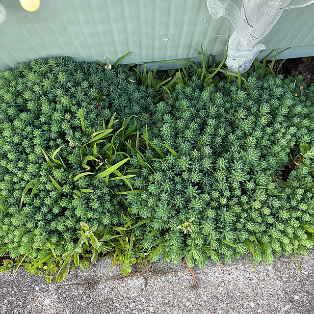 ritsukoさんの部屋