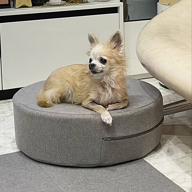 tamaさんの実例写真