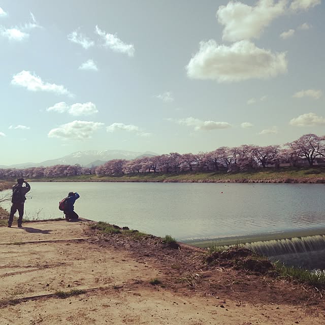 miさんの実例写真