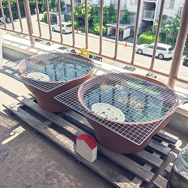 mi-saさんの部屋