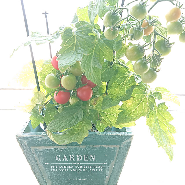 キッチンのインテリア実例 - 2019-05-31 22:26:52