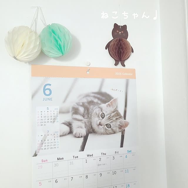 yukinyanさんの実例写真