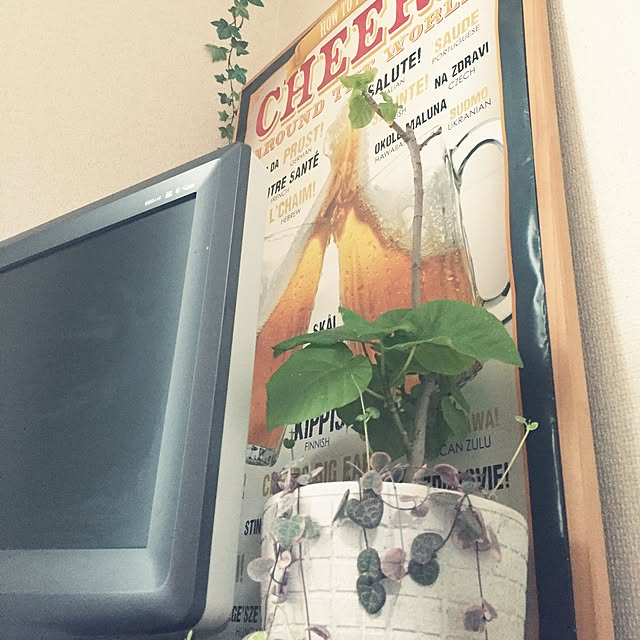 cheerさんの実例写真