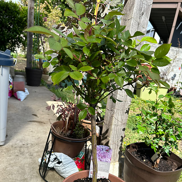ryannicolas41さんの部屋