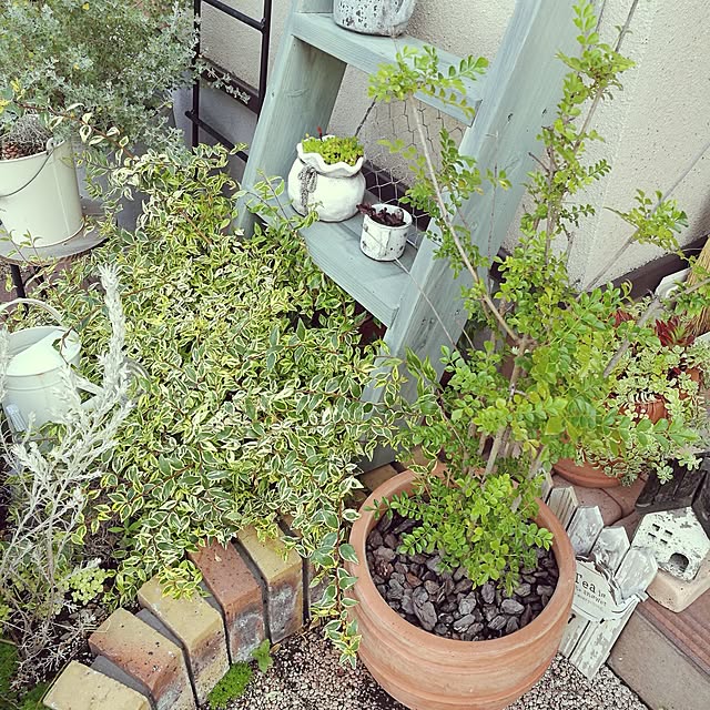 実例写真