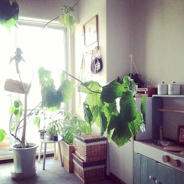 studio-fleurさんの実例写真