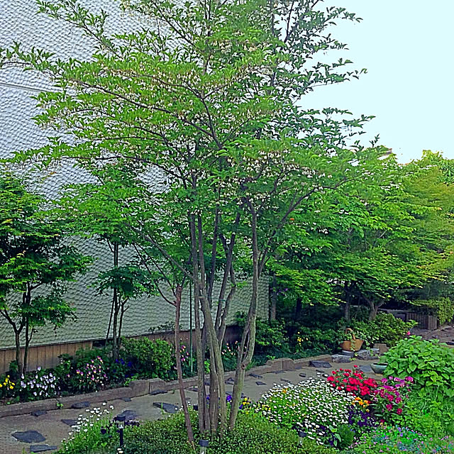 marrymisuzuさんの実例写真