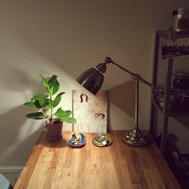 Misaさんの実例写真