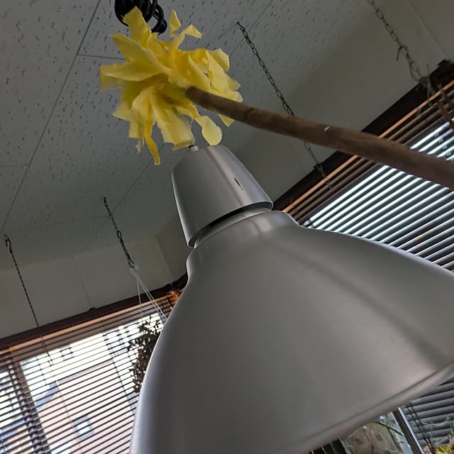 tikuwaさんの部屋