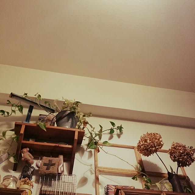 airinaさんの実例写真