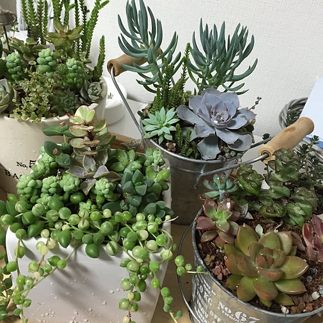 y.frvr.ks-lvyuiさんの実例写真