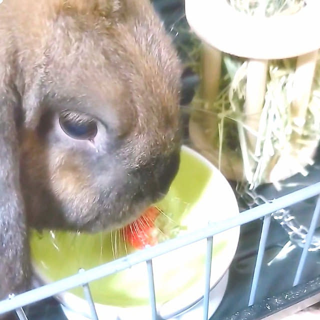 mariaさんの実例写真