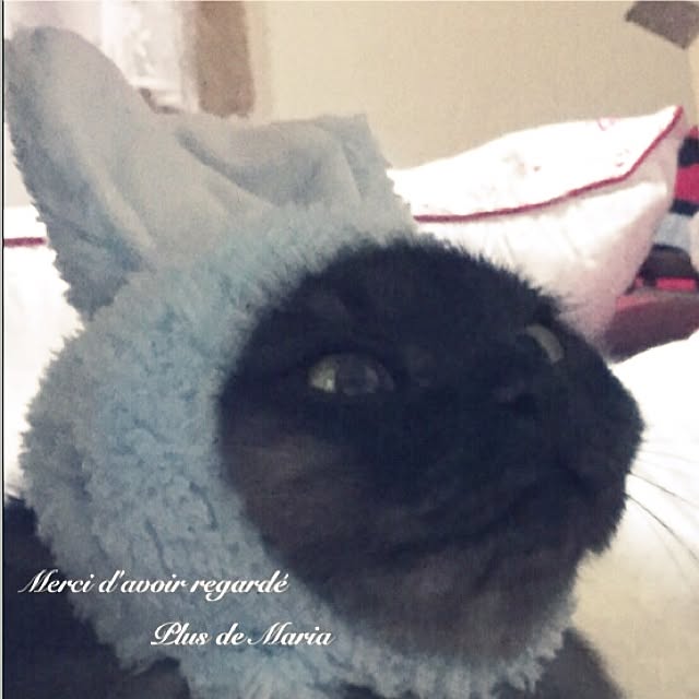 maria.rさんの実例写真