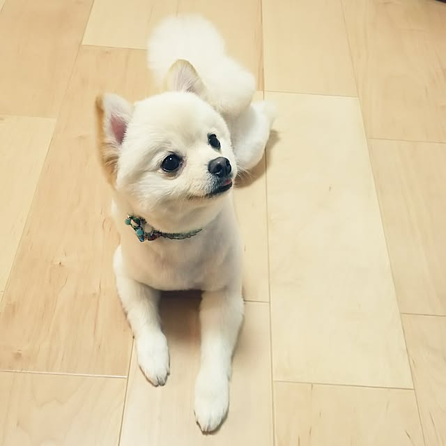 yuki15さんの実例写真