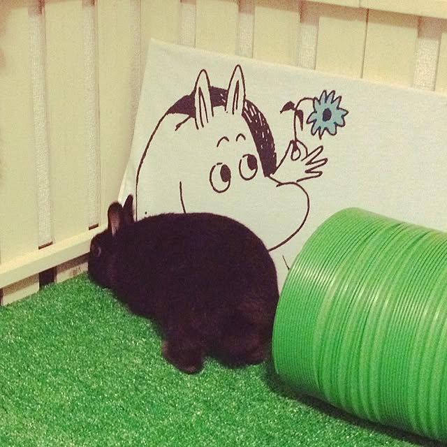 konpokoさんの実例写真