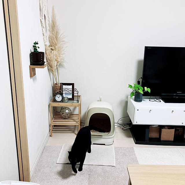 nekomiさんの部屋