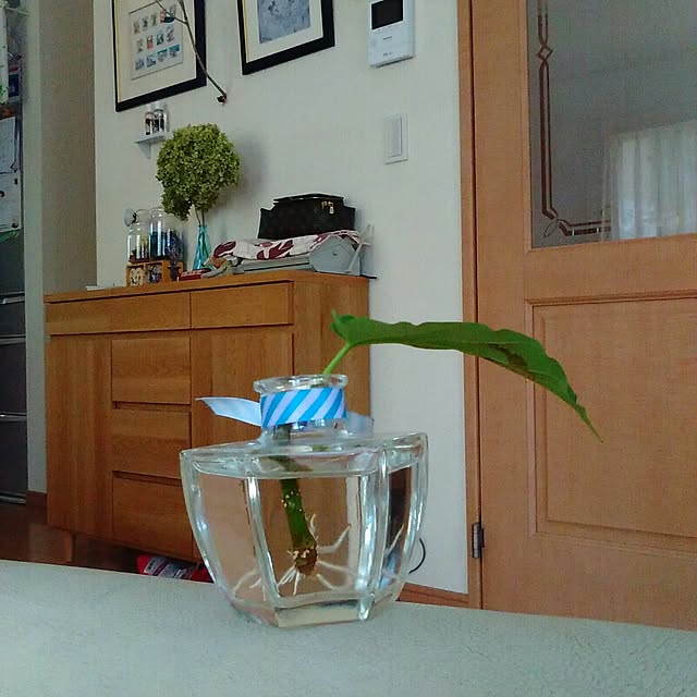 satochiさんの実例写真