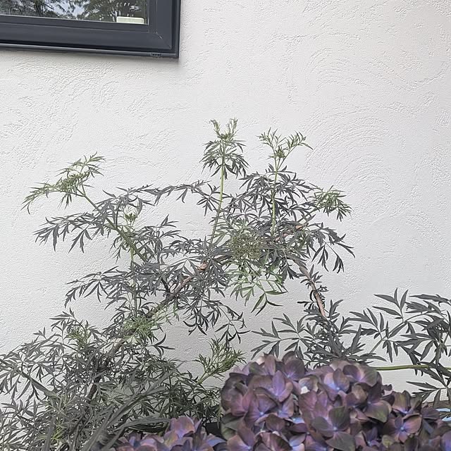 nolleyさんの部屋