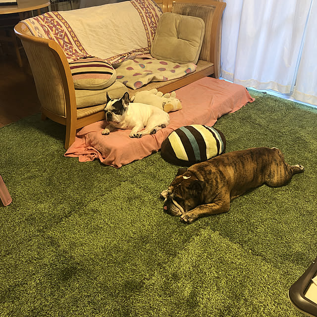 chi_gogaさんの実例写真