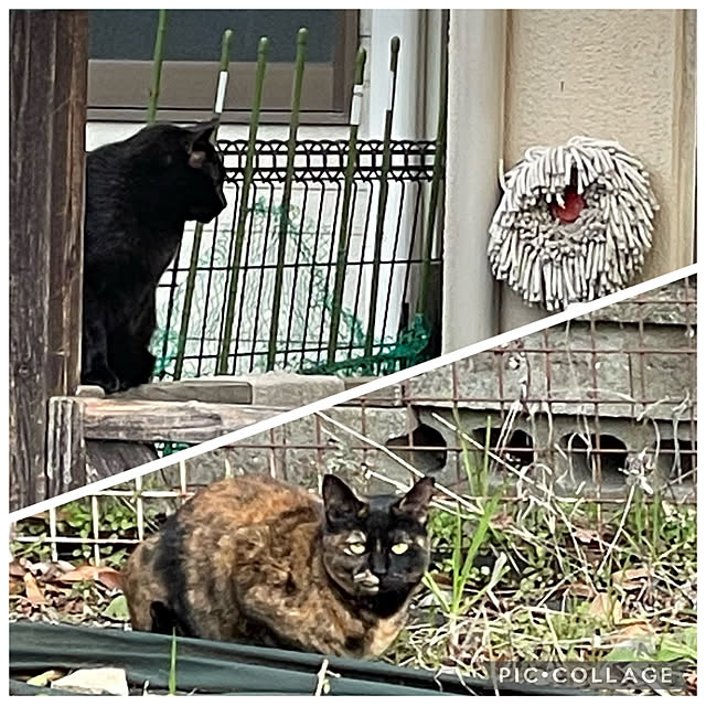 aureaさんの実例写真