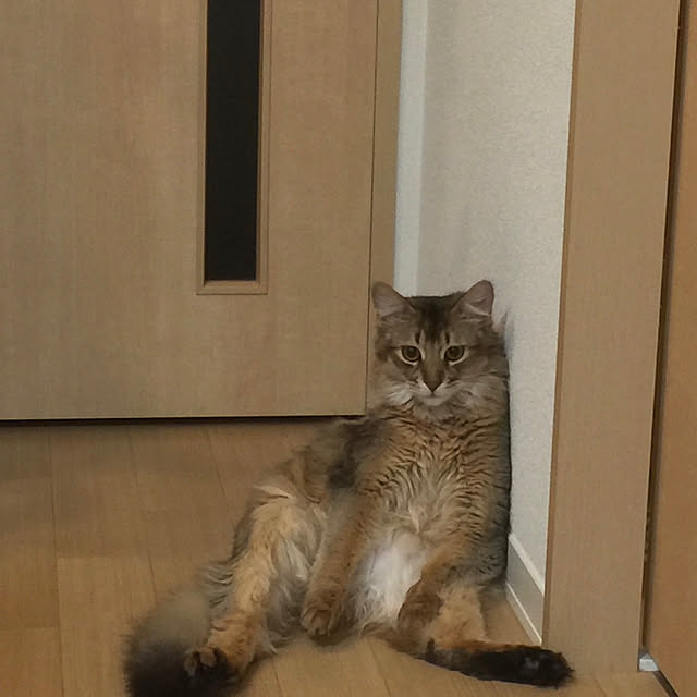 meさんの実例写真