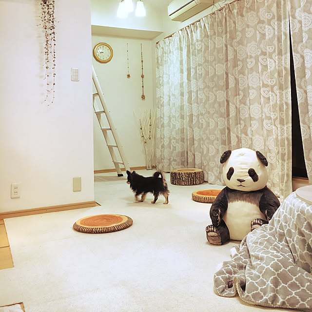 cocoさんの実例写真