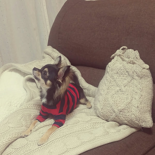 Chinatsu.Iさんの実例写真