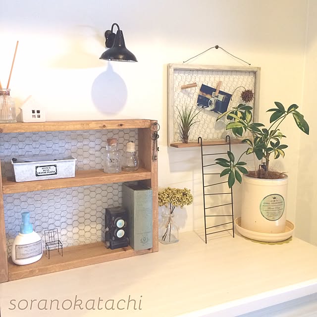 soranokatachiさんの実例写真