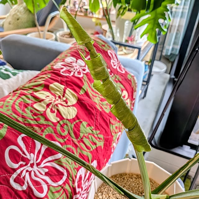 kolo92さんの部屋