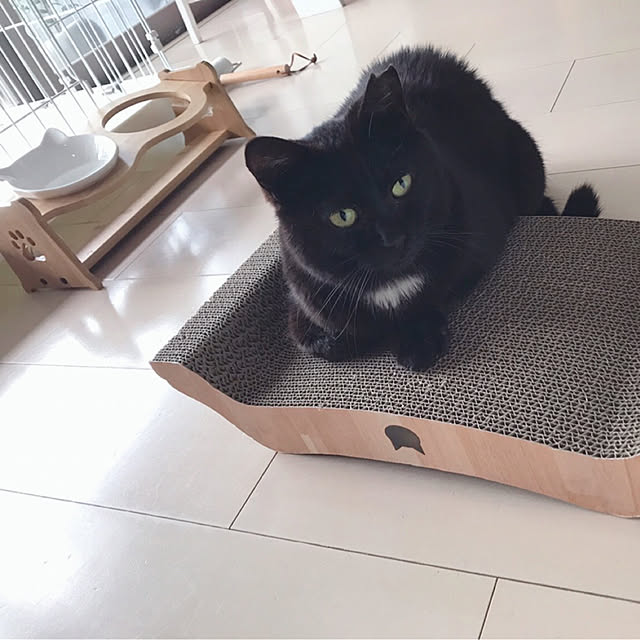oasisさんの実例写真