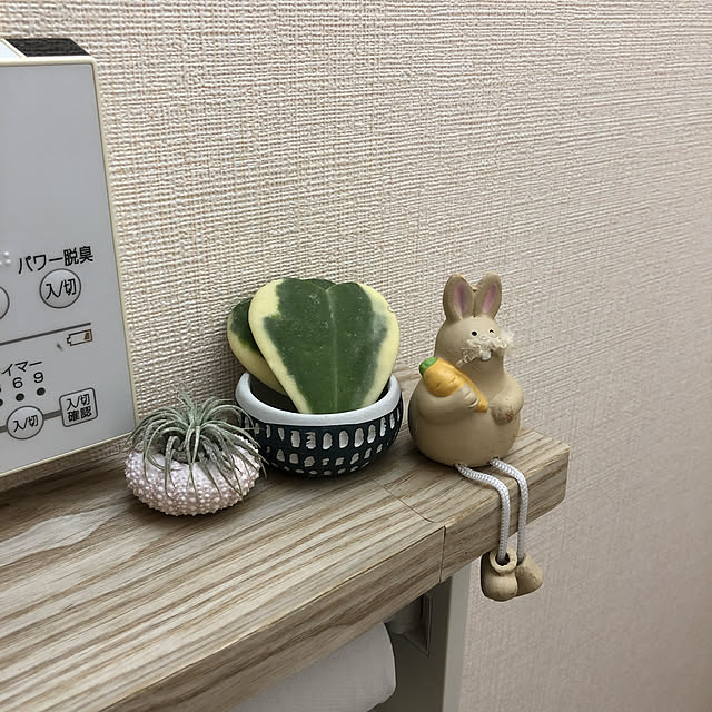kaiさんの実例写真