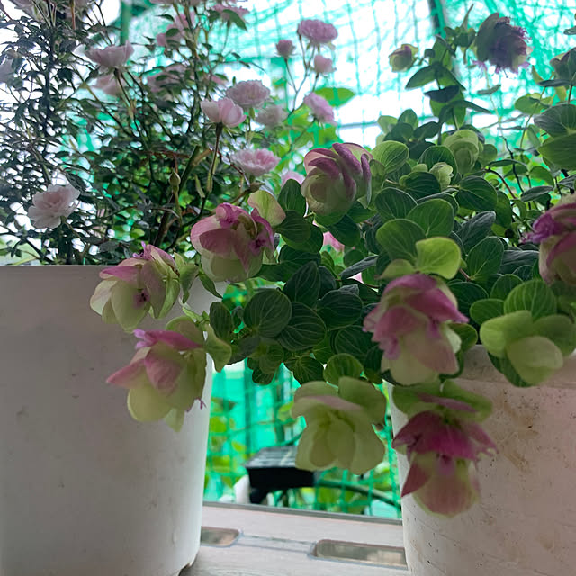 Aqettyさんの部屋
