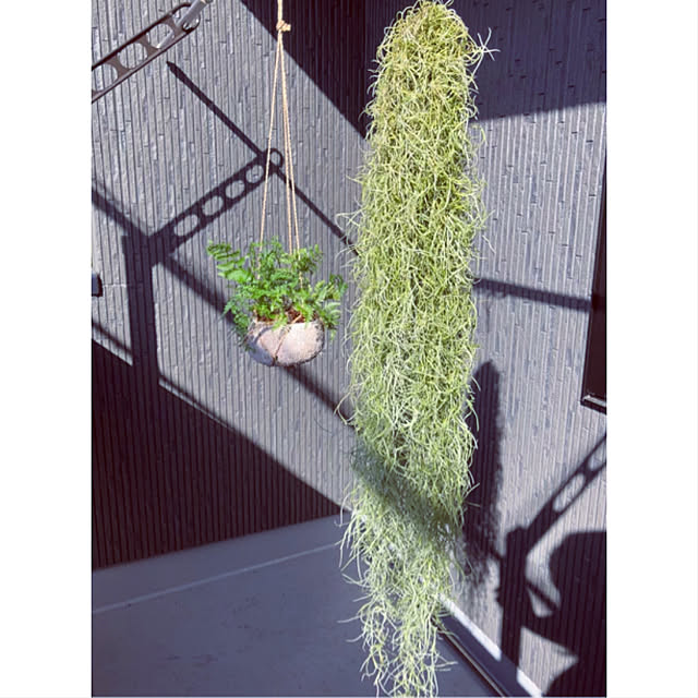 kmskさんの実例写真